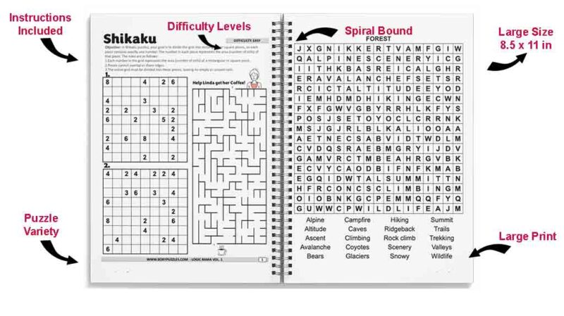 Holidays Brain Games - Puzzle Book Gift Box