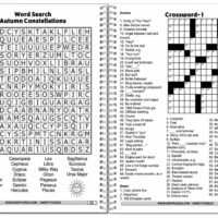 new open face BoxyPuzzles Monthly Puzzle Box