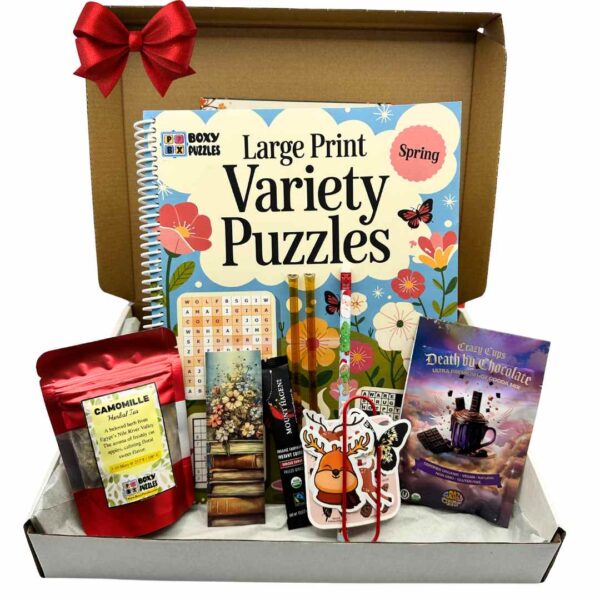 cozy winter box Puzzle book subscription box