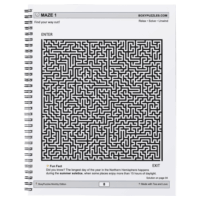 13 Puzzles for the Mind – Lemonade & Lazy Days