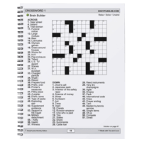 15 Puzzles for the Mind – Lemonade & Lazy Days