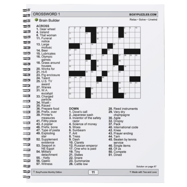 15 Puzzles for the Mind – Lemonade & Lazy Days