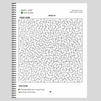 puzzles for the mind mazes Puzzles for the Mind: Summer Edition Large Print Puzzle Book
