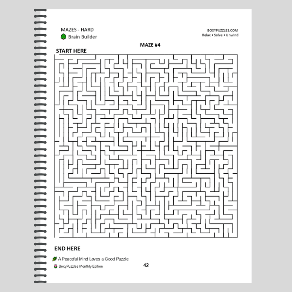puzzles for the mind mazes Puzzles for the Mind: Summer Edition Large Print Puzzle Book