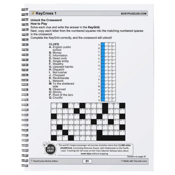 20 Puzzles for the Mind – Lemonade & Lazy Days