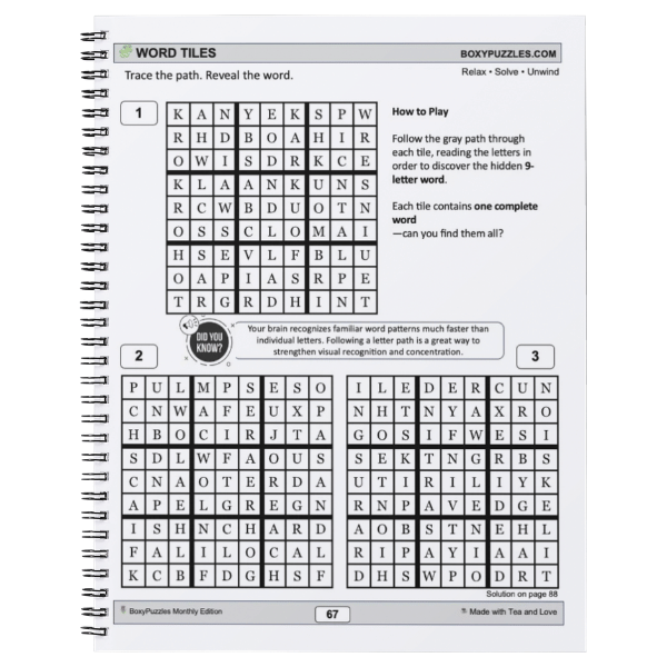 21 Puzzles for the Mind – Lemonade & Lazy Days