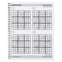 24 Puzzles for the Mind – Lemonade & Lazy Days