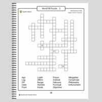 5 Puzzles for the Mind: Summer Edition Large Print Puzzle Book