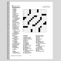 7 Puzzles for the Mind: Summer Edition Large Print Puzzle Book