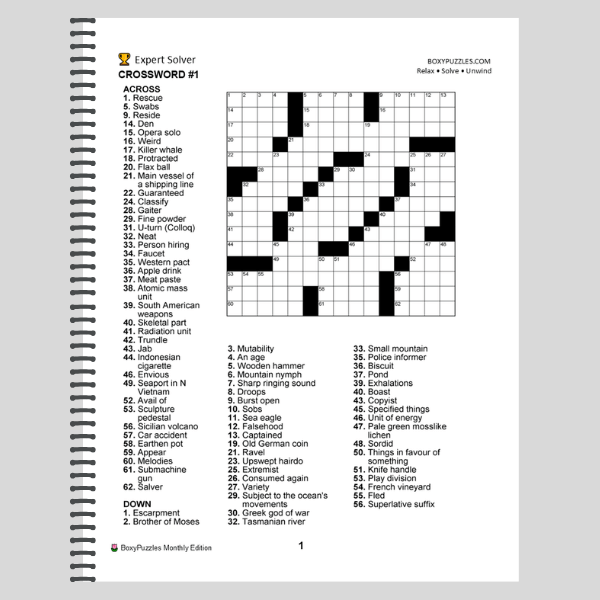 7 Puzzles for the Mind: Summer Edition Large Print Puzzle Book